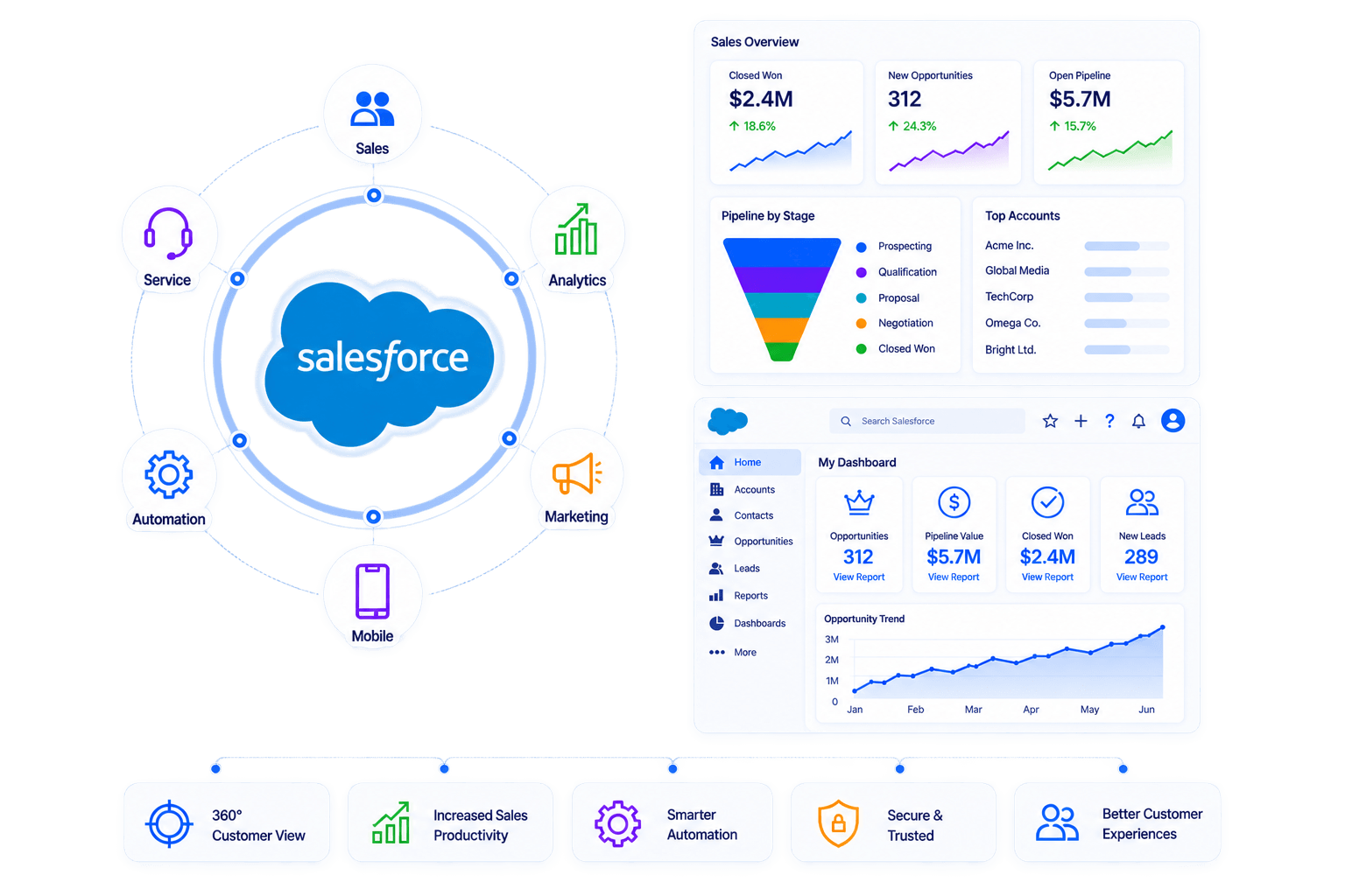 Salesforce development services
