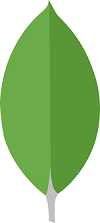 mango DB development