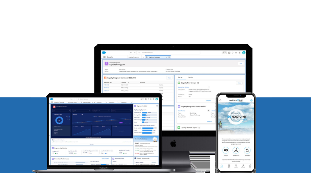 Salesforce interface illustration reproduced from the original loyalty-management case study