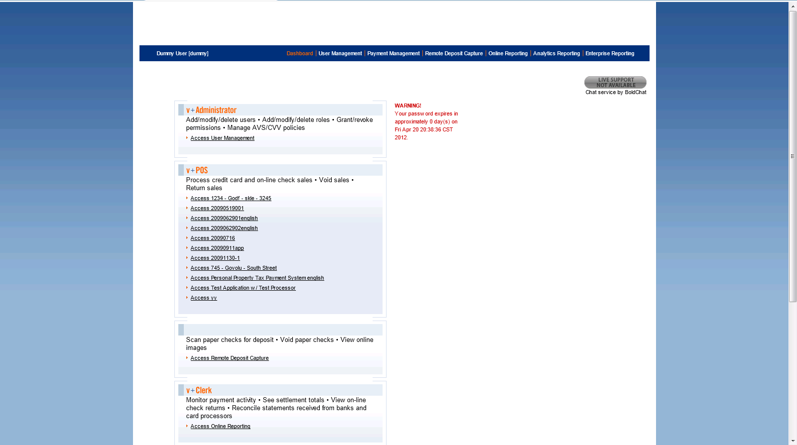 Electronic payment platform screenshot from the original project material